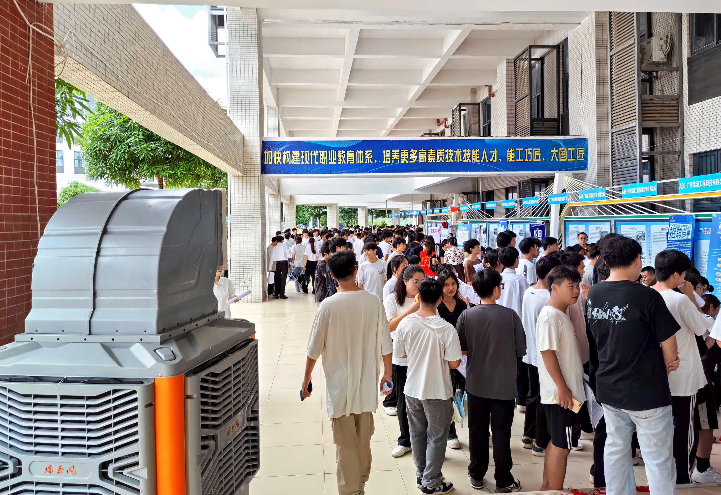 桐花萬里：瑞泰風(fēng)為青春與夢想護航